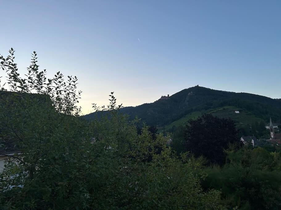 Vue Magnifique Sur Les Chateaux Ribeauvillé Buitenkant foto