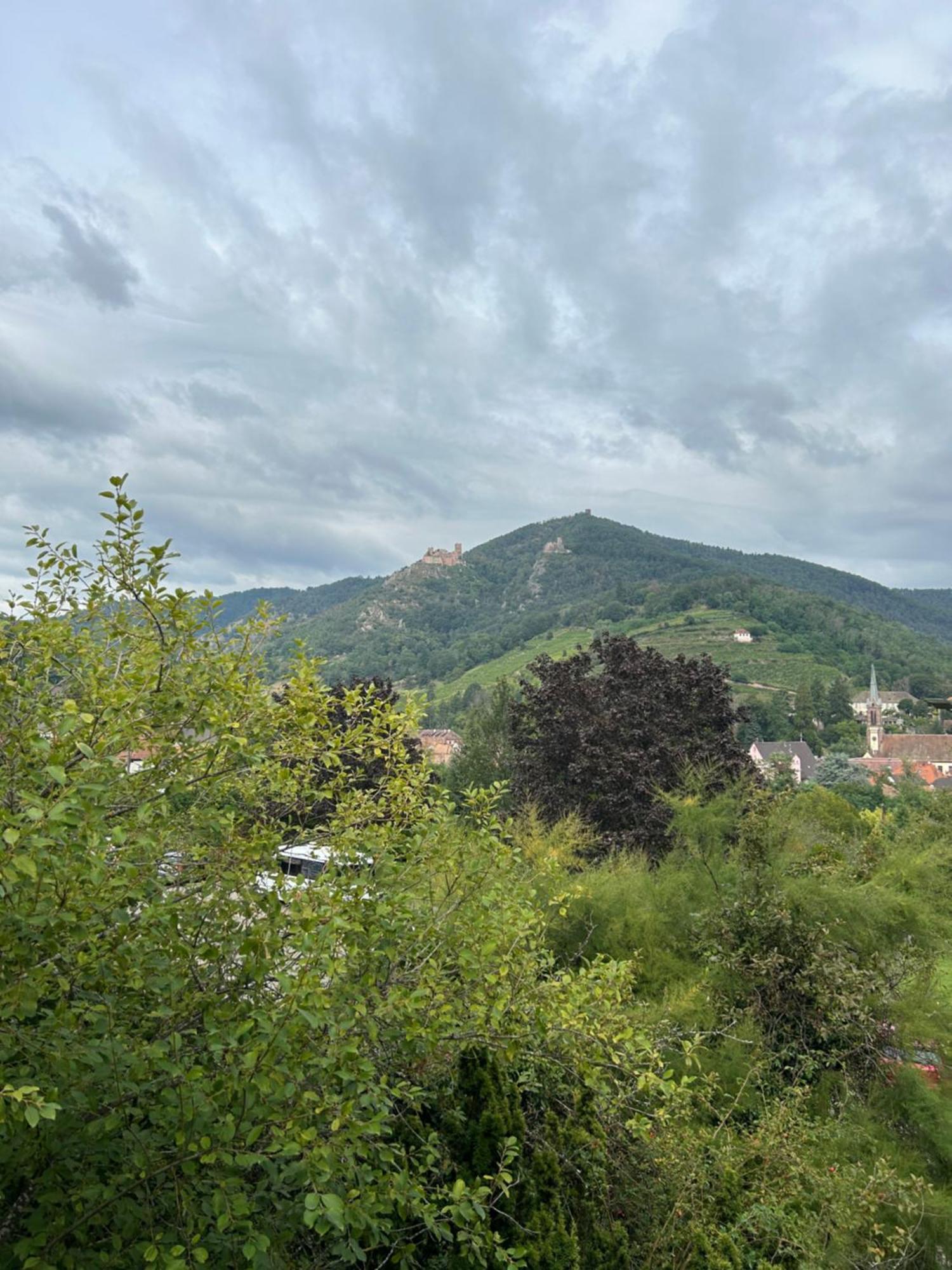 Vue Magnifique Sur Les Chateaux Ribeauvillé Buitenkant foto